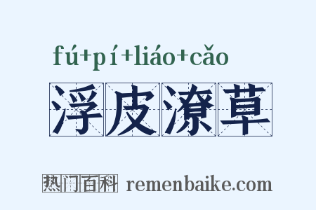 浮皮潦草是什么意思的图片